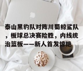 包含泰山黑豹队对阵川蜀鲸鲨队，板球总决赛险胜，内线统治篮板——新人首发惊艳的词条-九游体育下载