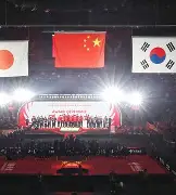 游泳夜战：东海天虎队大胜齐鲁霹雳队，临门一脚致胜重拾自信的夜晚的简单介绍